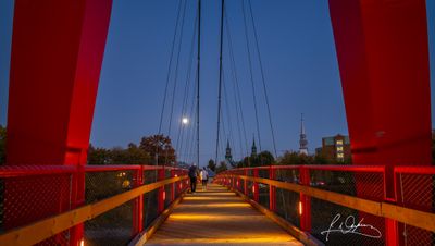 IMG_2837_p.jpg