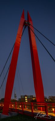 IMG_2844_p.jpg
