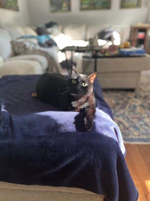 IMG_6670.jpeg