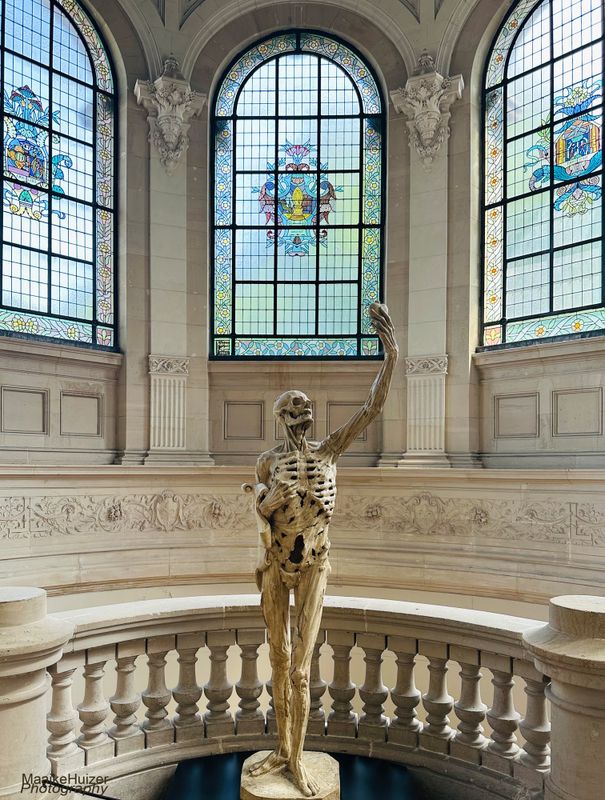 Palais Beaux-Arts - muse