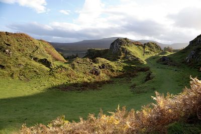 Fairy Glen