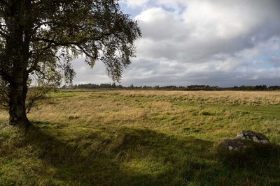 Culloden Moor