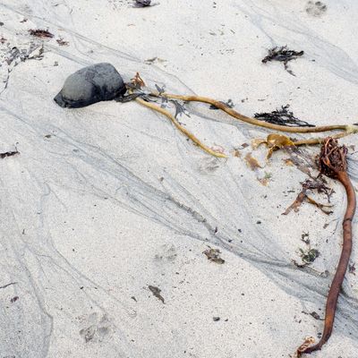 Elgol Beach