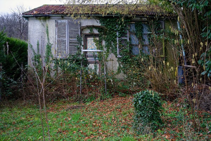 La maison abandonne