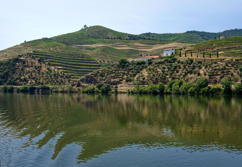 Vire sur le Dourode Regua  Pinho