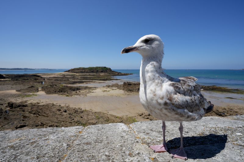 A Saint-Malo