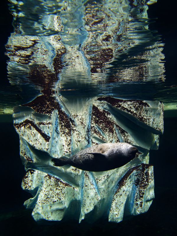 BrestA Ocanopolis