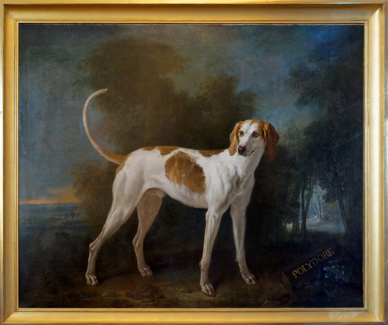 Raymond Chien de la meute de Louis XVOudry - 1726....