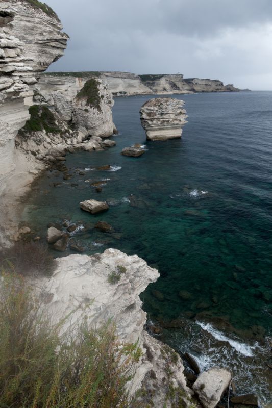 Bonifacio