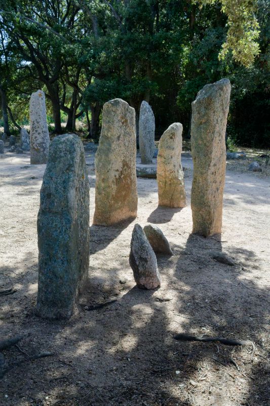 Site de CauriaAlignement de Renaghju