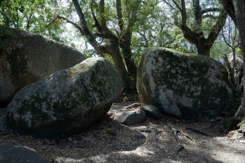 Site de Cauria