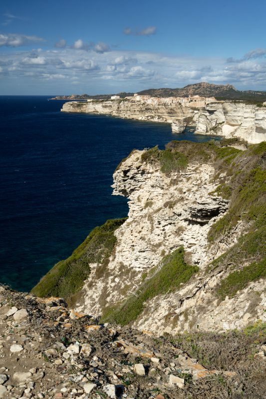 Bonifacio