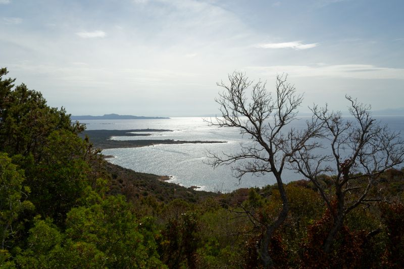 Corsica (du sud) 2025
