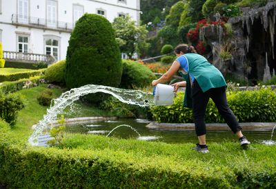 Bom Jesus</br>La jardinire