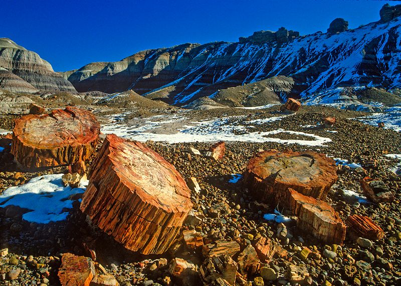 Below Blue Mesa, Petrified Forest National Park, AZ
