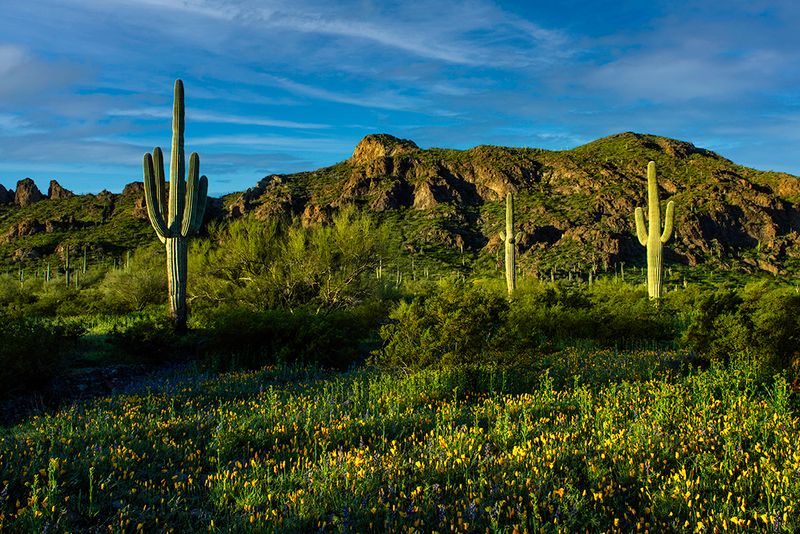 First Light at Picacho Peak State Park, AZ