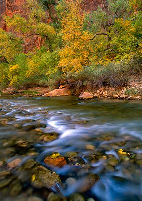 Virgin River, Zion Canyon, Zion National Park, UT