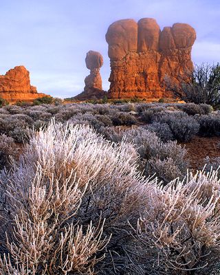 Rime Ice on Sage Brush at Balanced Rock, Arches National Park, UT