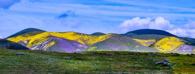 Carrizo Plain National Monument, CA