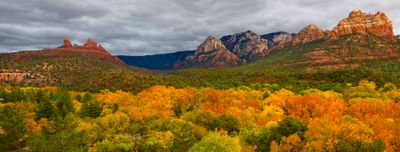 Fall Color Along Oak Creek, Sedona, AZ