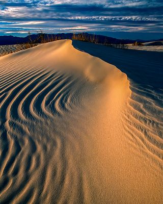 Mesquite Flat Dunes, Death Valley National Park, CA.
