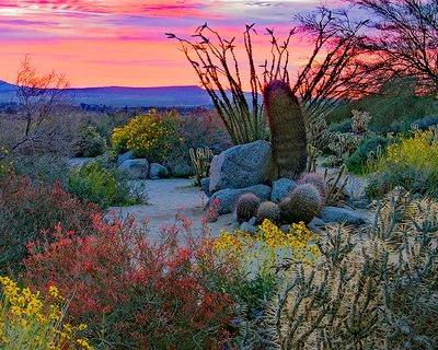 Sunrise at Anza Borrego State Preserve, CA final.jpg