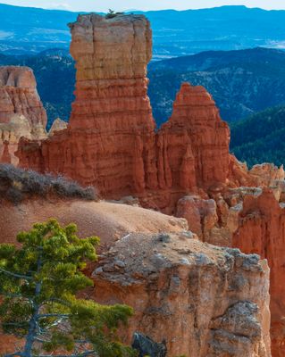 Bryce Canyon Hoodoos