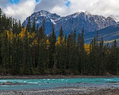 Athabasca River along Icefields Parkway, Jasper National Park, Alberta, Canada