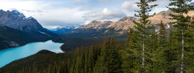 Peyto Lake Panorama, Banff National Park, Alberta, Canada