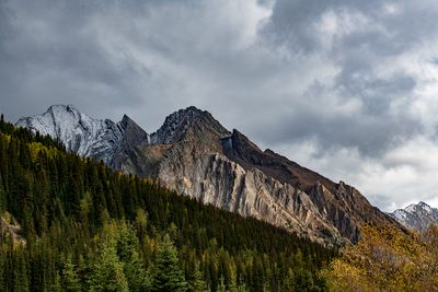 Highwood Pass, Kananaskis Country, Alberta, Canada