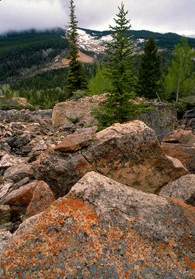 Boulders at the base of the Gros Ventre Rockslide, WY