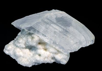 Ram's Horn Gypsum (Selenite) Crystal on Aragonite, Chihuahua, Mexico.