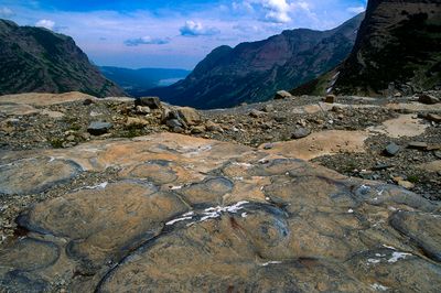 Precambrian Stromatolites near Grinnell Glacier, Glacier National Park, MT
