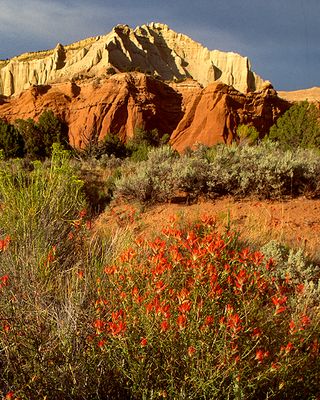 Kodachrome Basin State Park, UT