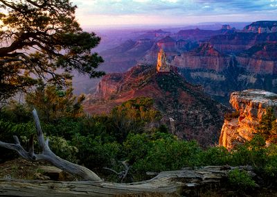 Grand Canyon