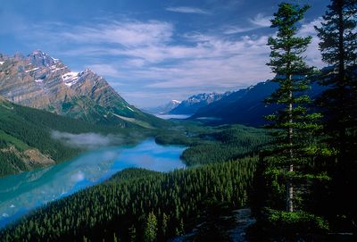  Peyto Lake and Mistaya Mountain, Banff National Park, Alberta, Canada