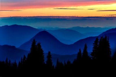 Looking west at the Tatoosh Range from Paradise Meadow at Sunset, Mount Rainier National Park, WA