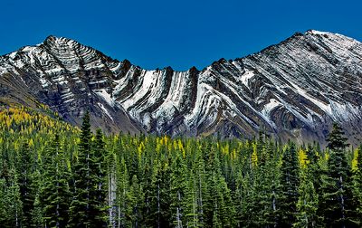  Anticlinal and synclinal folds in Canadian Rockies, Peter Lougheed Provincial Park, Alberta Canada
