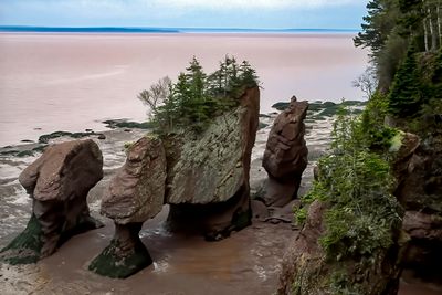Low tide at the Bay of Fundy, The Rocks Provincial Park, New Brunswick, Canada