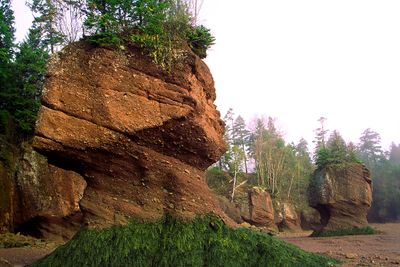 Stacks undercut by wave activity are exposed as tide ebbs, The Rocks Provincial Park, New Brunswick, Canada
