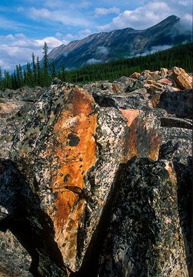 Rock slide of Gog Quartzite, Endless Chain Range, Banff National Park, Alberta, Canada