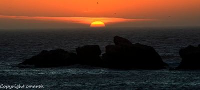 _RMR1799-Enhanced-NR.jpg