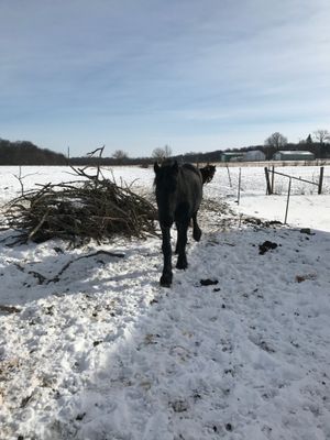 g13/43/928043/3/173285206.5f0096e0.JPEG