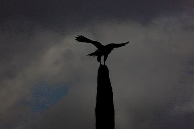 1J3A9259.jpg