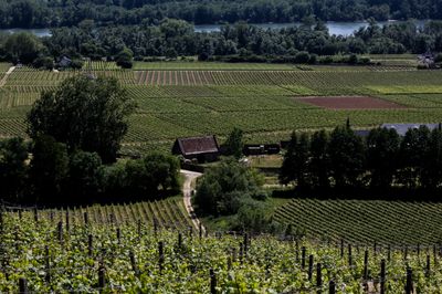 8I3C0731.jpg