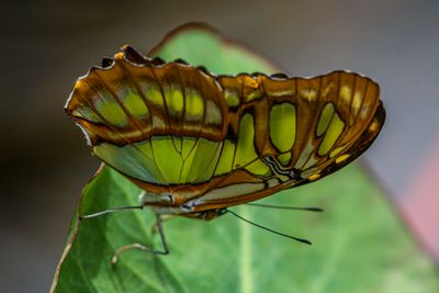 8I3C7299-2.jpg