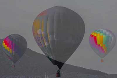 8I3C7488.jpg