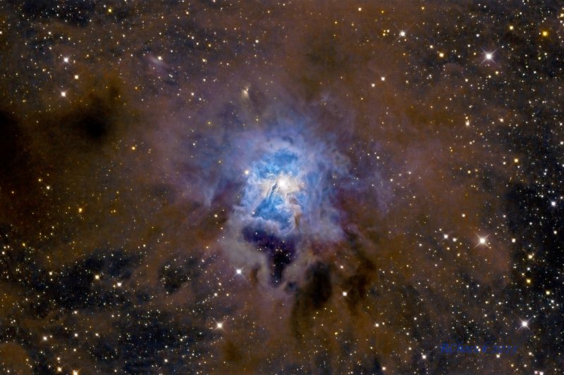 Iris Nebula NGC 7023
