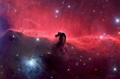 Horsehead Nebula in Orion