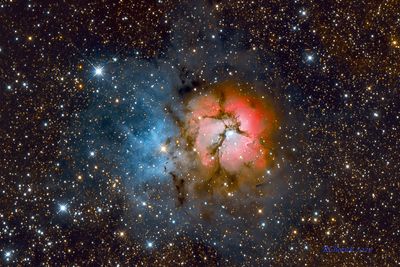 Triffid Nebula
